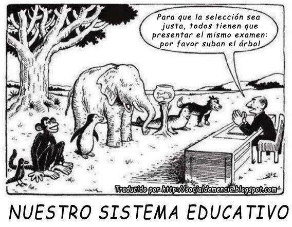 Sistema educativo