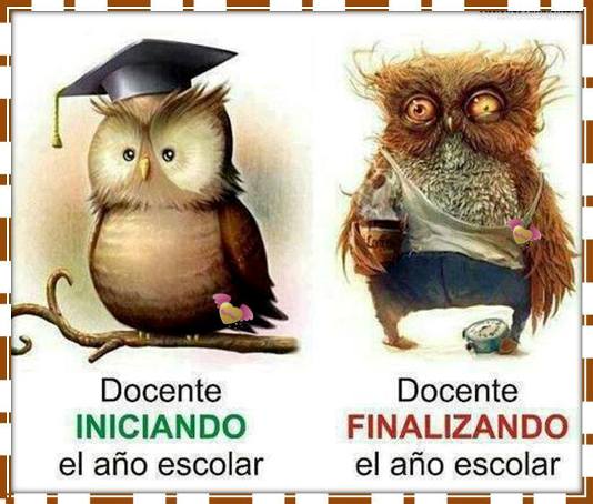 Docentes